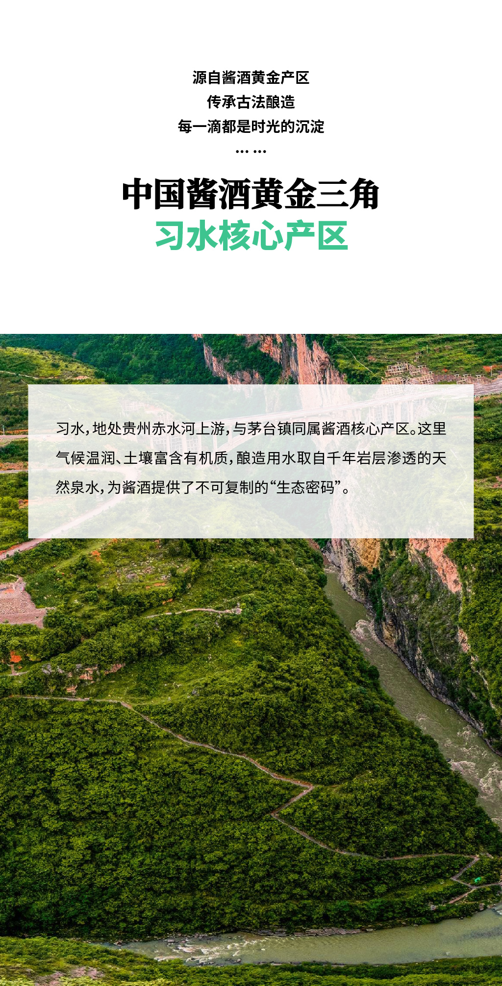 详情页-02.jpg